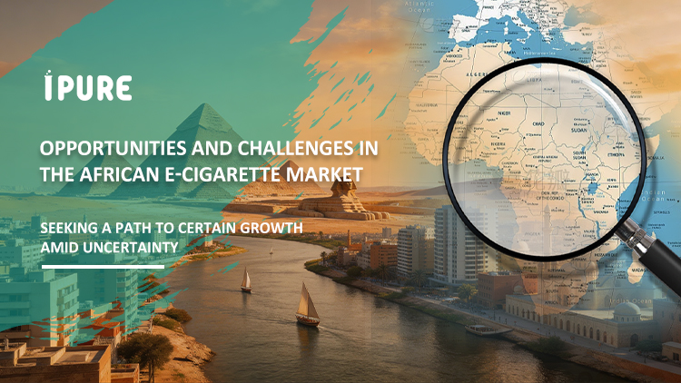 Opportunities and Challenges in Africa’s E-Cigarette Market
Finding Certainty in an Uncertain Growth Landscape